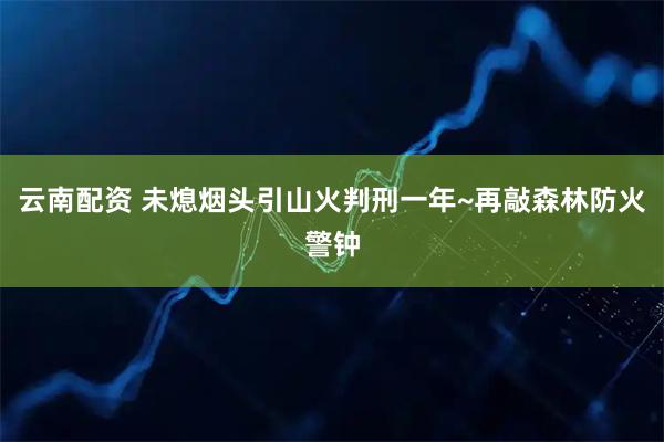 云南配资 未熄烟头引山火判刑一年~再敲森林防火警钟