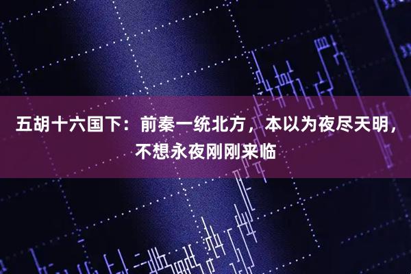 五胡十六国下：前秦一统北方，本以为夜尽天明，不想永夜刚刚来临