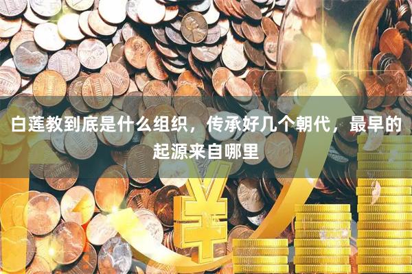 白莲教到底是什么组织，传承好几个朝代，最早的起源来自哪里