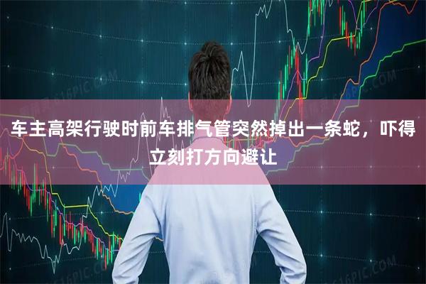 车主高架行驶时前车排气管突然掉出一条蛇，吓得立刻打方向避让